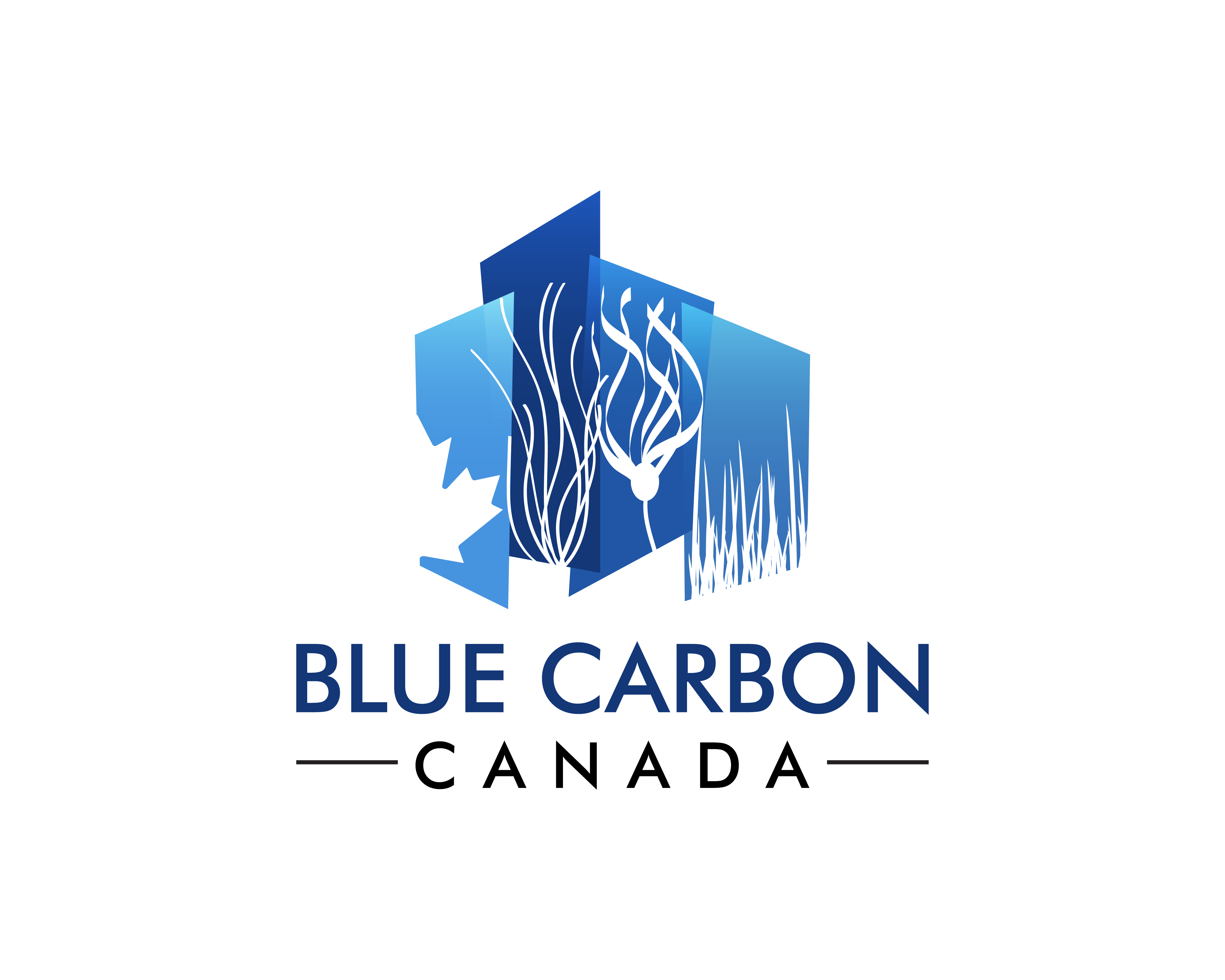 blue-carbon-canada-original-transparent-background-01.png