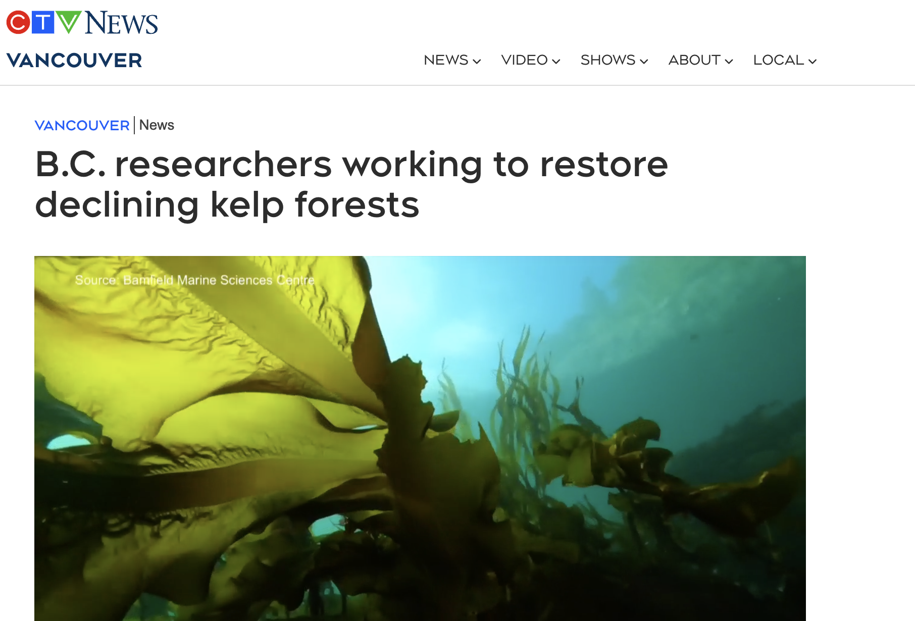 Kelp in the news -  restoring declining kelp forests