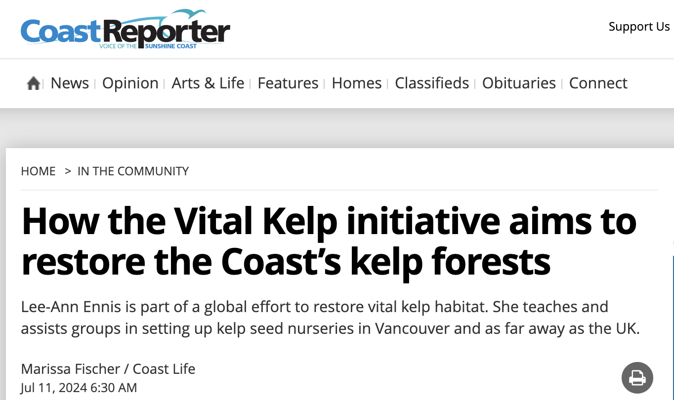 Kelp in the News - how the vital kelp initiative aims to restore the coast’s kelp forests